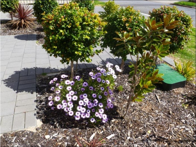 17 Whitbread Avenue, Klemzig SA 5087