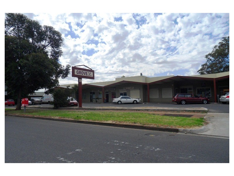 19 Mahood Street, Elizabeth Grove SA 5112