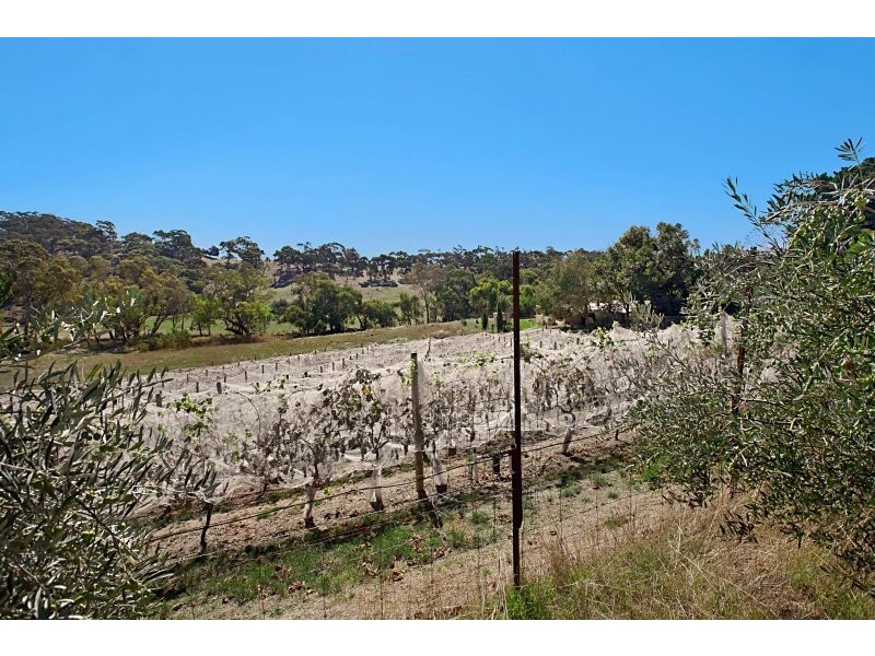 402 Deloraine Road, Kersbrook SA 5231