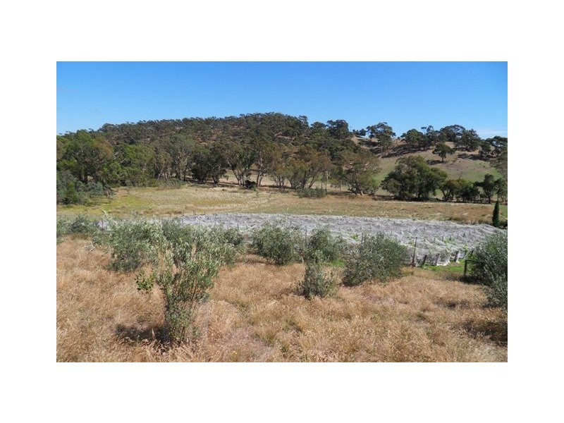 402 Deloraine Road, Kersbrook SA 5231