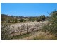 402 Deloraine Road, Kersbrook SA 5231
