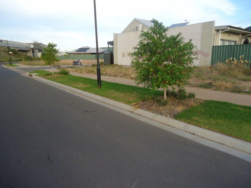 32 Ridley St, Mawson Lakes SA 5095