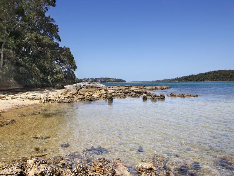 Lilli Pilli NSW 2229