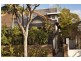 215 Darley Road, Randwick NSW 2031