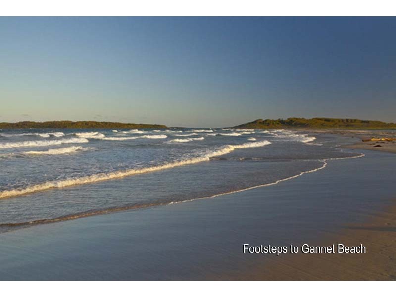 45 Harrington Crescent, Bawley Point NSW 2539