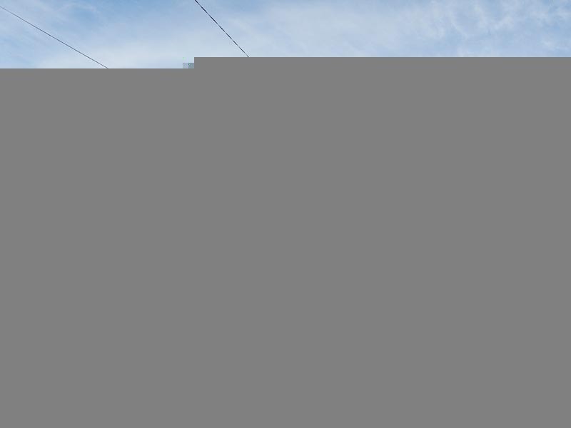 50 Buckle Street, Northgate QLD 4013