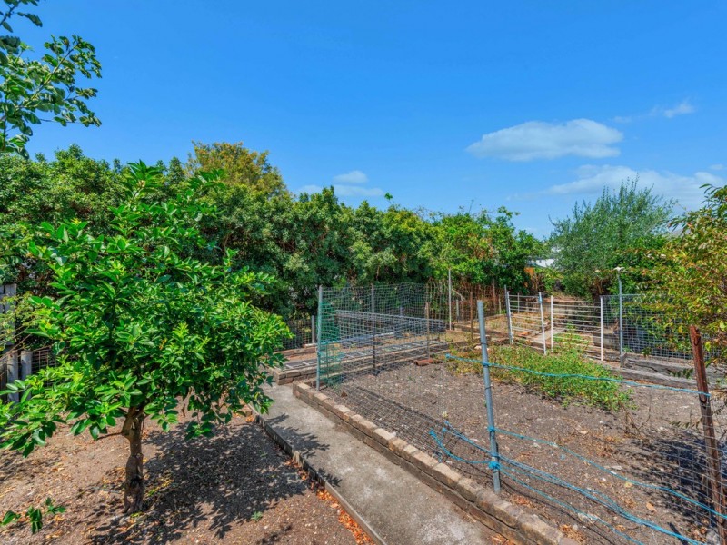 7 Birrimba Street, Alderley QLD 4051