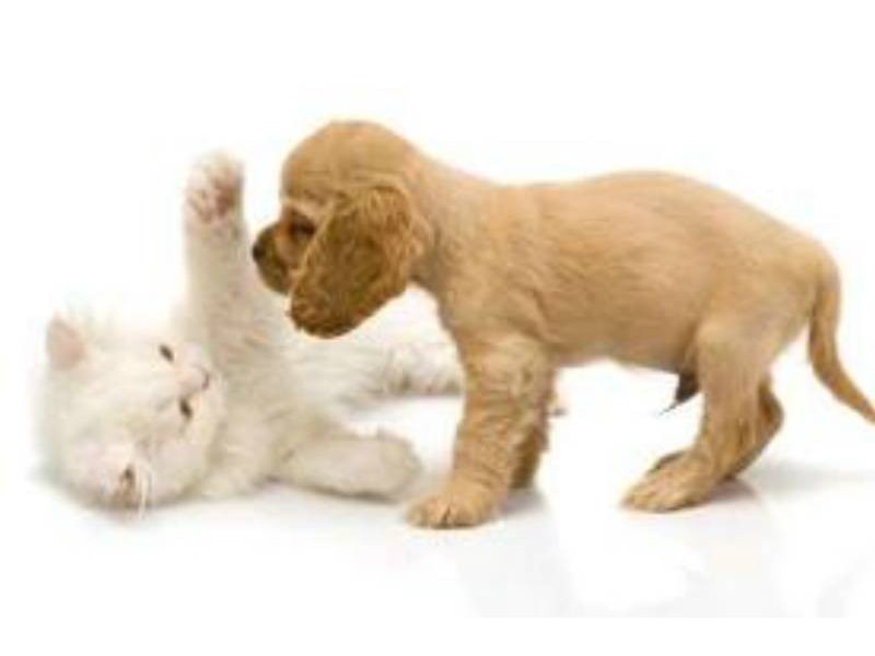 2/26  Evans, Nundah QLD 4012