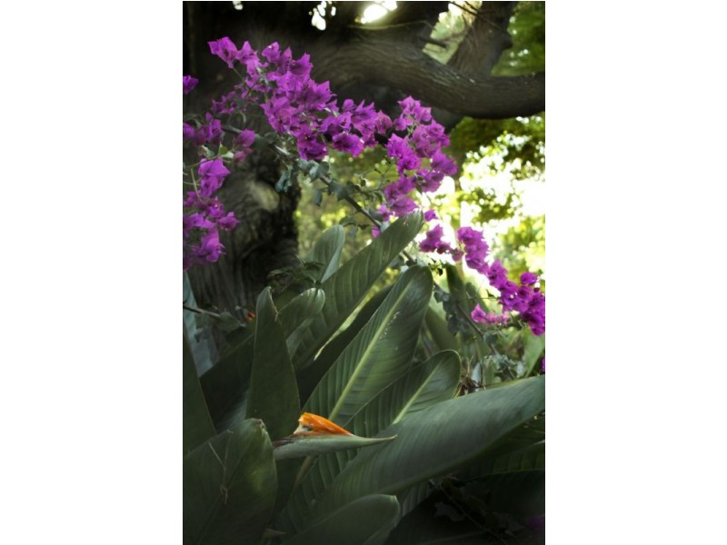 112 Gympie Street, Northgate QLD 4013