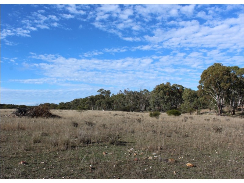 205 Carbean Road, Karara QLD 4352