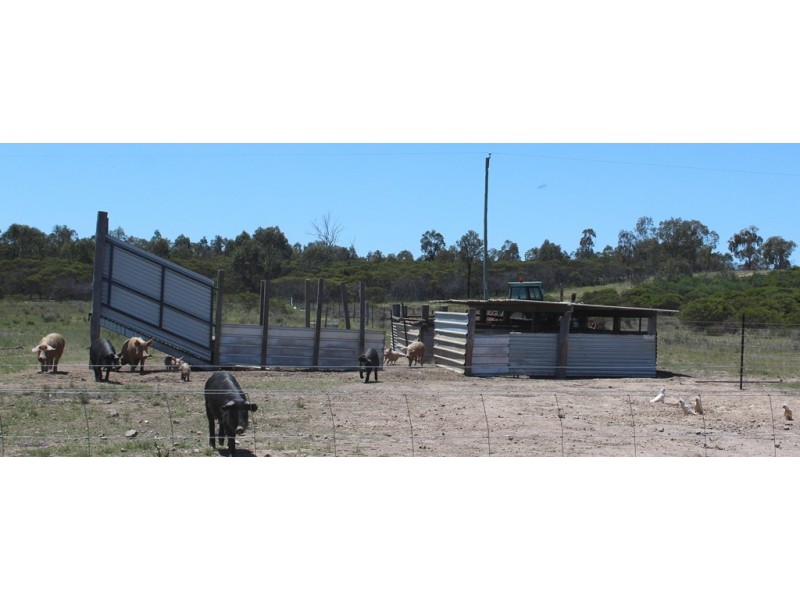 205 Carbean Road, Karara QLD 4352