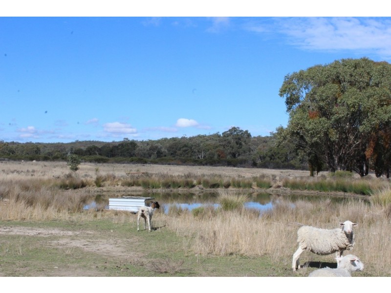 205 Carbean Road, Karara QLD 4352