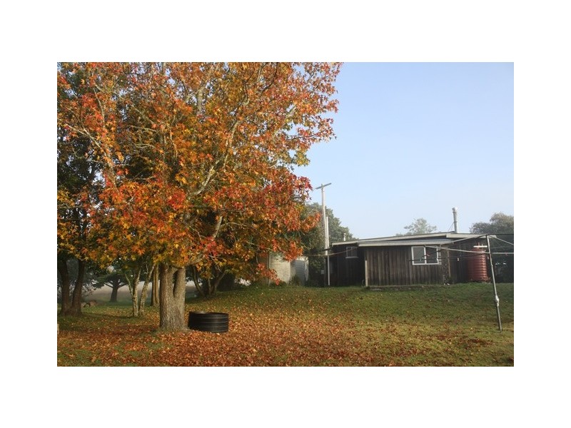 135 Ridge Rd, Maryland NSW 4377