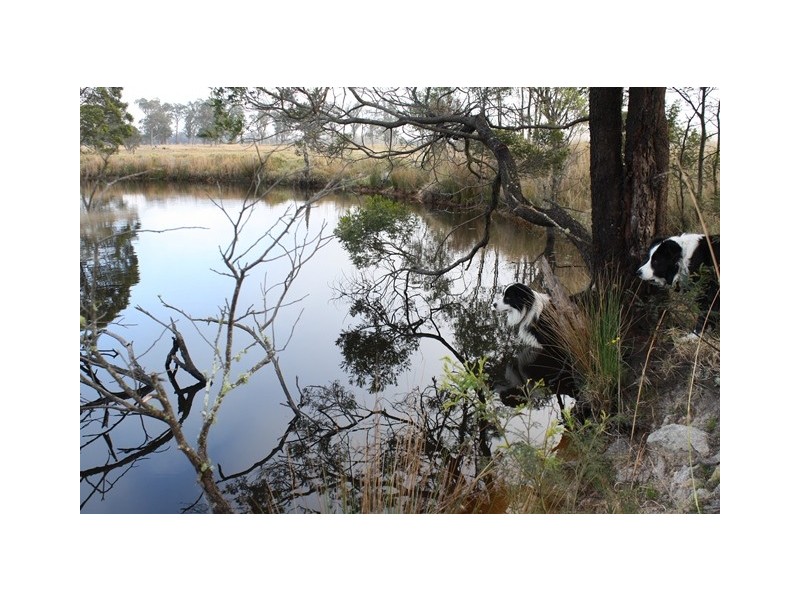 135 Ridge Rd, Maryland NSW 4377