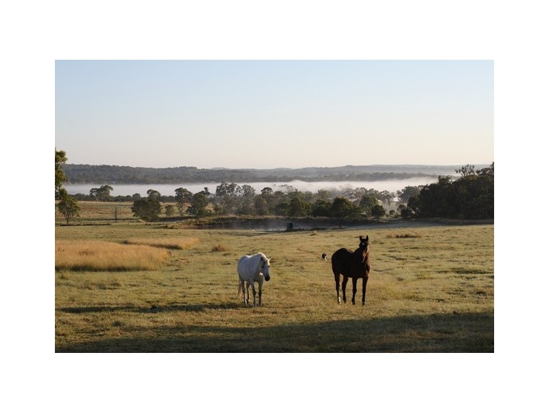 135 Ridge Rd, Maryland NSW 4377