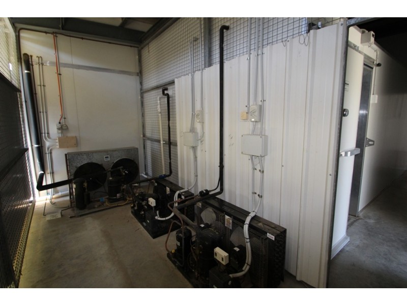 71 Ogilvie Road, Warwick QLD 4370