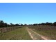 2936 Stonehenge Road, Stonehenge QLD 4357