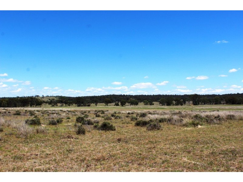 2936 Stonehenge Road, Stonehenge QLD 4357
