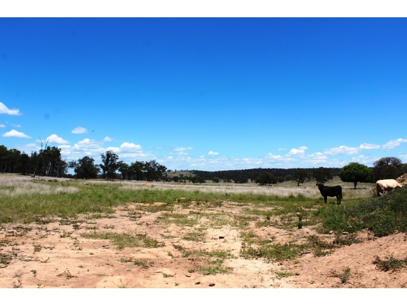 2936 Stonehenge Road, Stonehenge QLD 4357