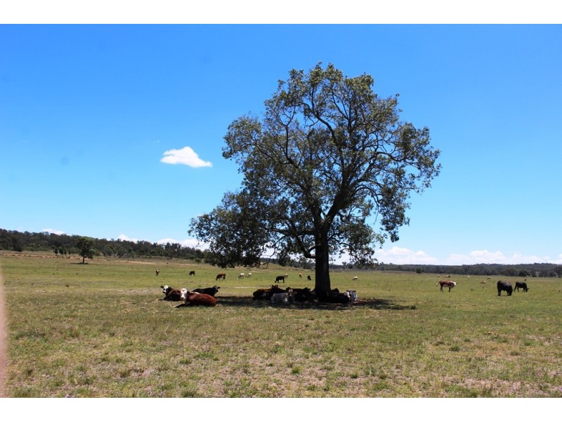 2936 Stonehenge Road, Stonehenge QLD 4357