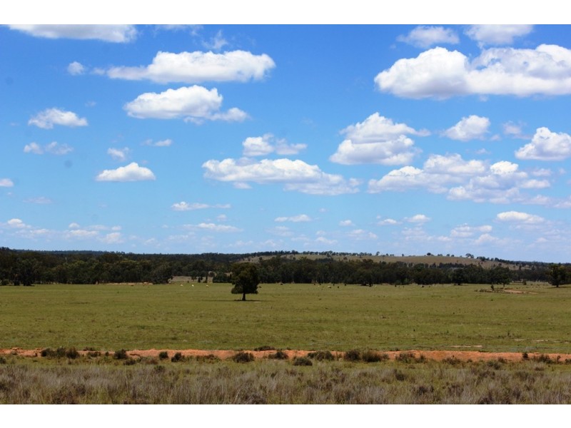 2936 Stonehenge Road, Stonehenge QLD 4357