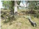Lot 36 Leyburn Forestry Rd, Thanes Creek QLD 4370