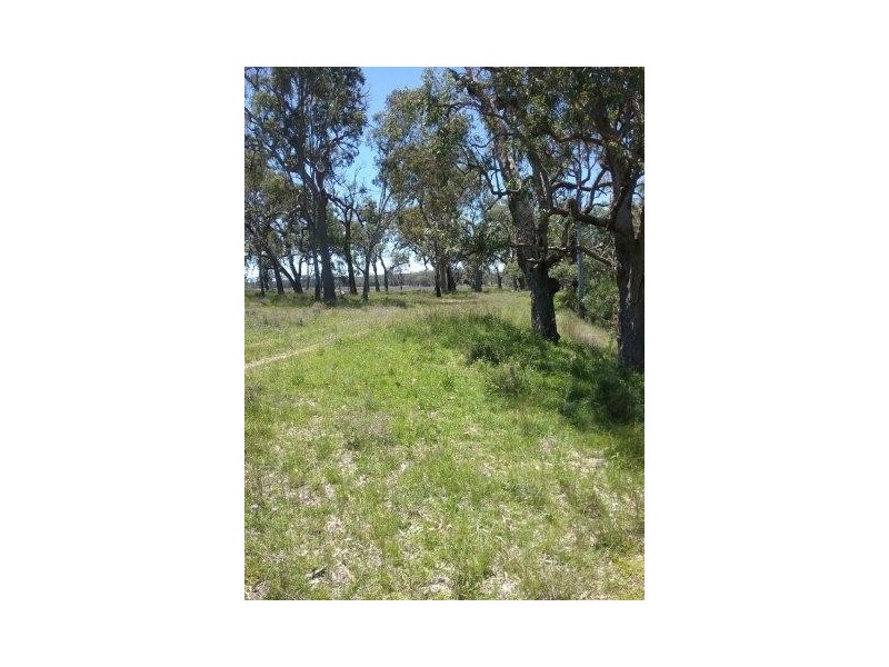 Lot 36 Leyburn Forestry Rd, Thanes Creek QLD 4370