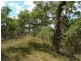 Lot 36 Leyburn Forestry Rd, Thanes Creek QLD 4370