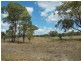 Lot 36 Leyburn Forestry Rd, Thanes Creek QLD 4370