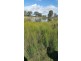 Lots 1 and 95 Big Hill Rd, Thanes Creek QLD 4370