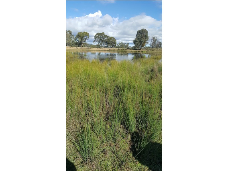 Lots 1 and 95 Big Hill Rd, Thanes Creek QLD 4370
