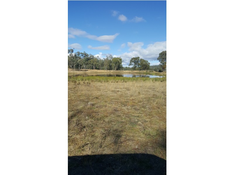 Lots 1 and 95 Big Hill Rd, Thanes Creek QLD 4370