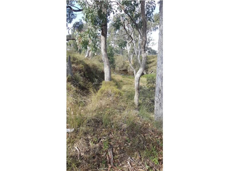 Lots 1 and 95 Big Hill Rd, Thanes Creek QLD 4370