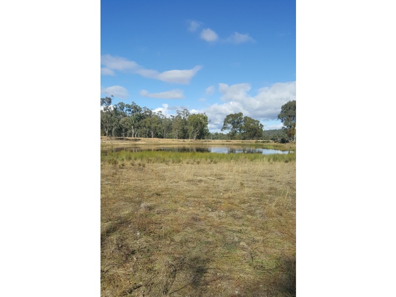 Lots 1 and 95 Big Hill Rd, Thanes Creek QLD 4370