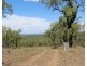 Lot 2172 Morgan Park Road, Wildash QLD 4370