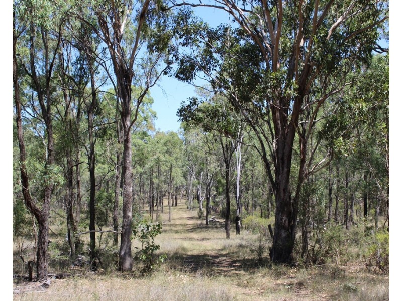 Lot 2172 Morgan Park Road, Wildash QLD 4370