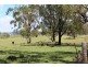 652 Upper Wheatvale Rd, Massie QLD 4370