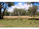 652 Upper Wheatvale Rd, Massie QLD 4370