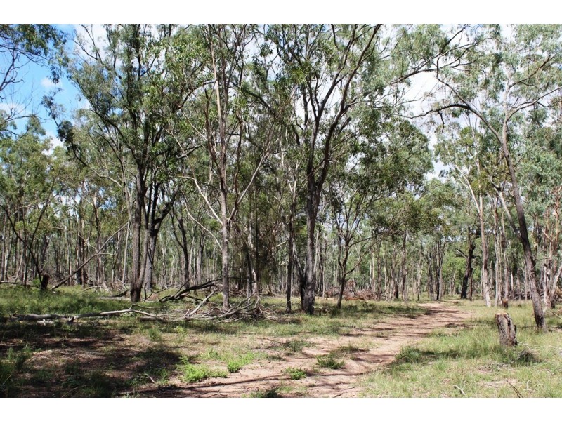 652 Upper Wheatvale Rd, Massie QLD 4370