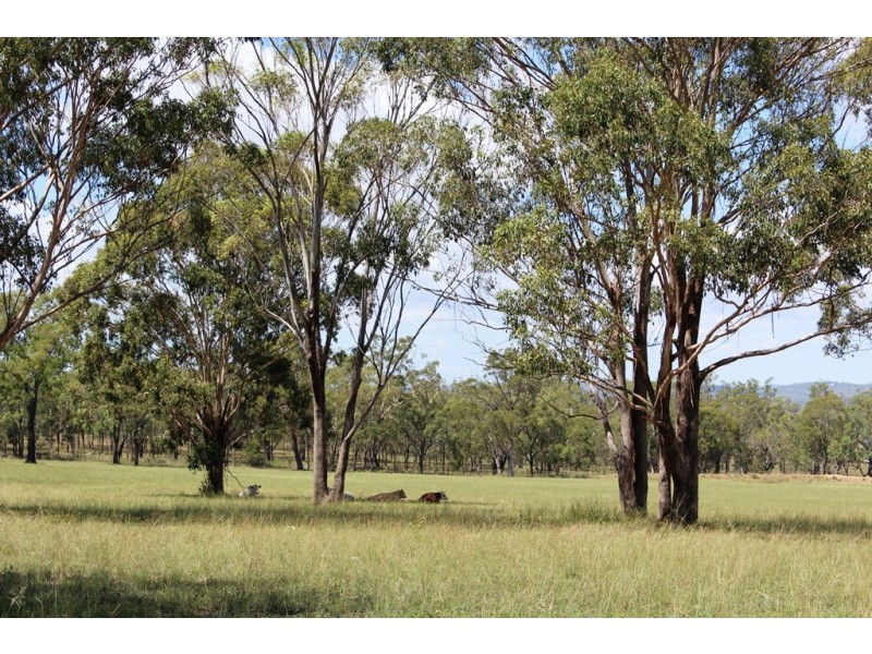 652 Upper Wheatvale Rd, Massie QLD 4370