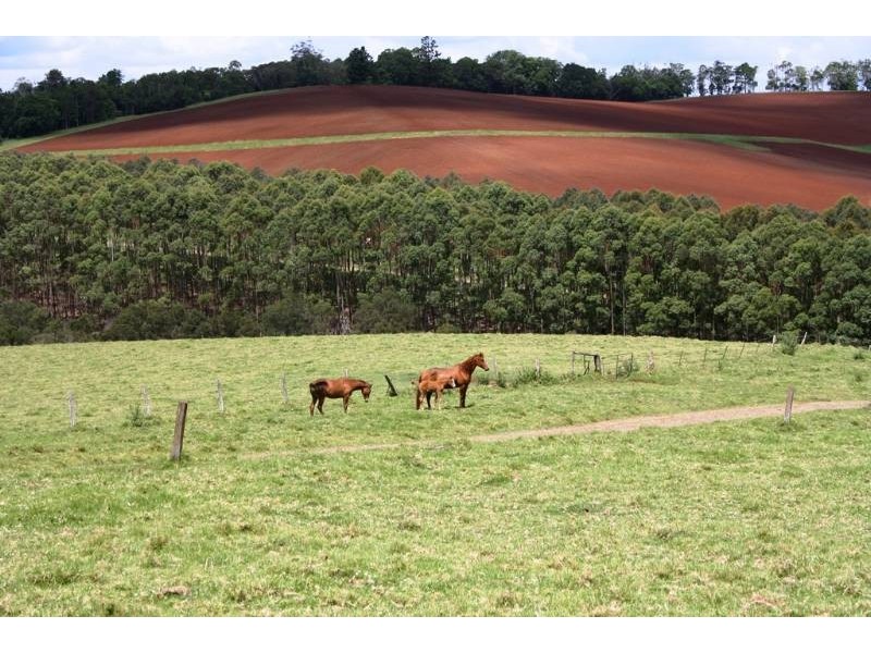 889 Acacia Plateau Road, Killarney QLD 4373