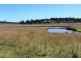 Lot 300 Cunningham Hwy, Womina QLD 4370