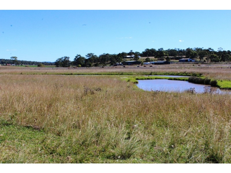 Lot 300 Cunningham Hwy, Womina QLD 4370