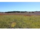 Lot 300 Cunningham Hwy, Womina QLD 4370