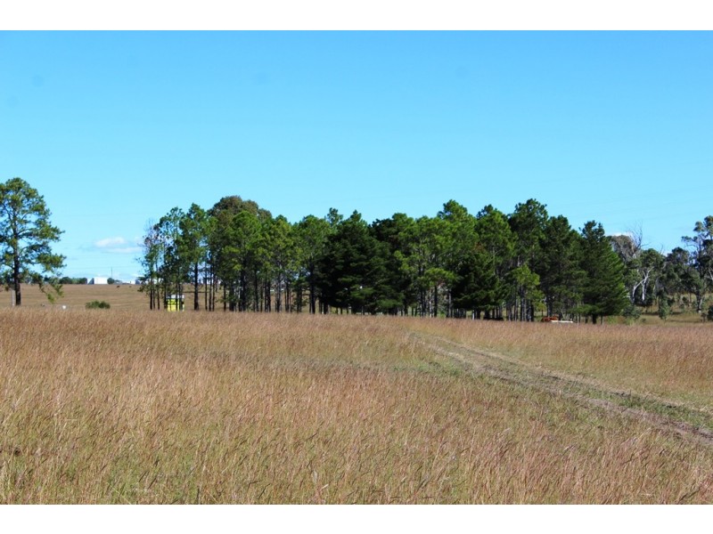 Lot 300 Cunningham Hwy, Womina QLD 4370
