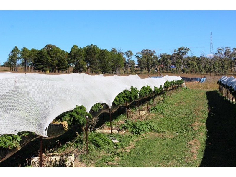 Lot 300 Cunningham Hwy, Womina QLD 4370