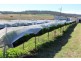 Lot 300 Cunningham Hwy, Womina QLD 4370