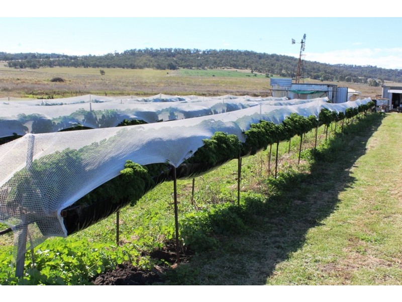 Lot 300 Cunningham Hwy, Womina QLD 4370