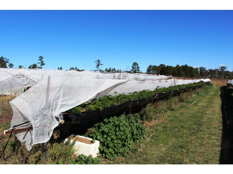 Lot 300 Cunningham Hwy, Womina QLD 4370