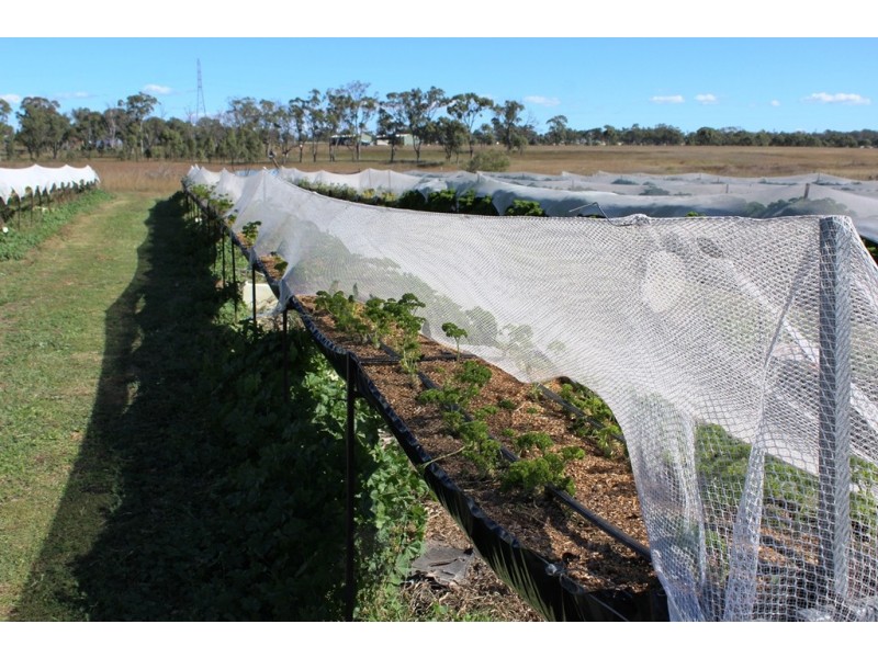 Lot 300 Cunningham Hwy, Womina QLD 4370